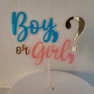 Topper "boy or girl"